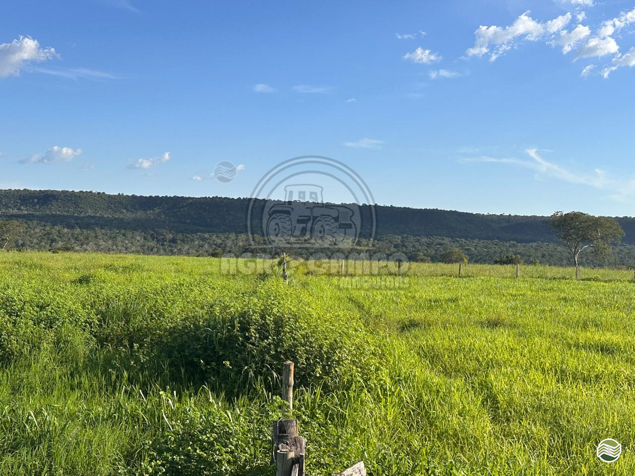 IMOVEIS IMÓVEIS FAZENDAS Agro Campo Máquinas Agrícolas PRIMAVERA DO LESTE MATO GROSSO MT